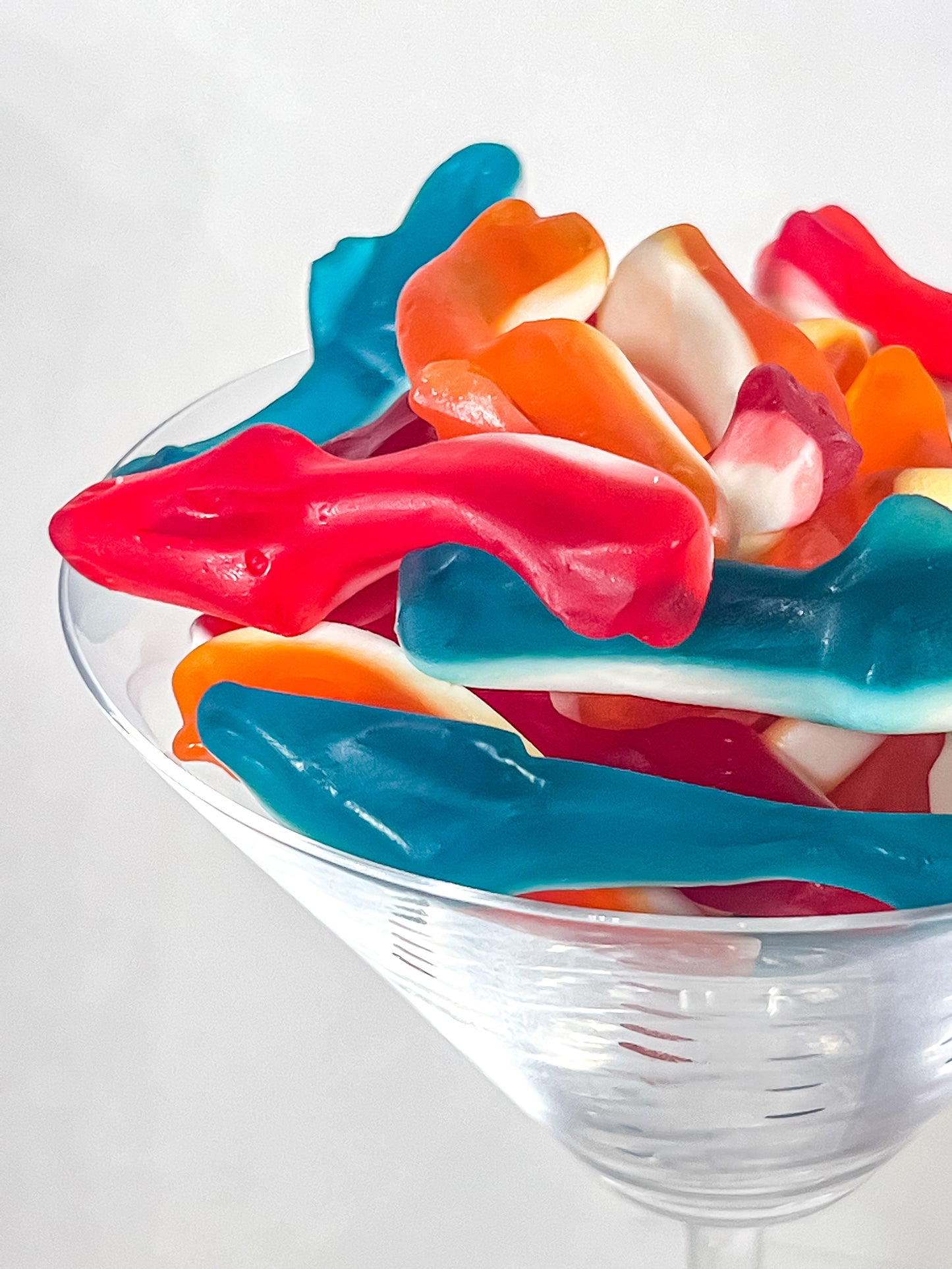 Don't Be Snarky Gummi Sharky