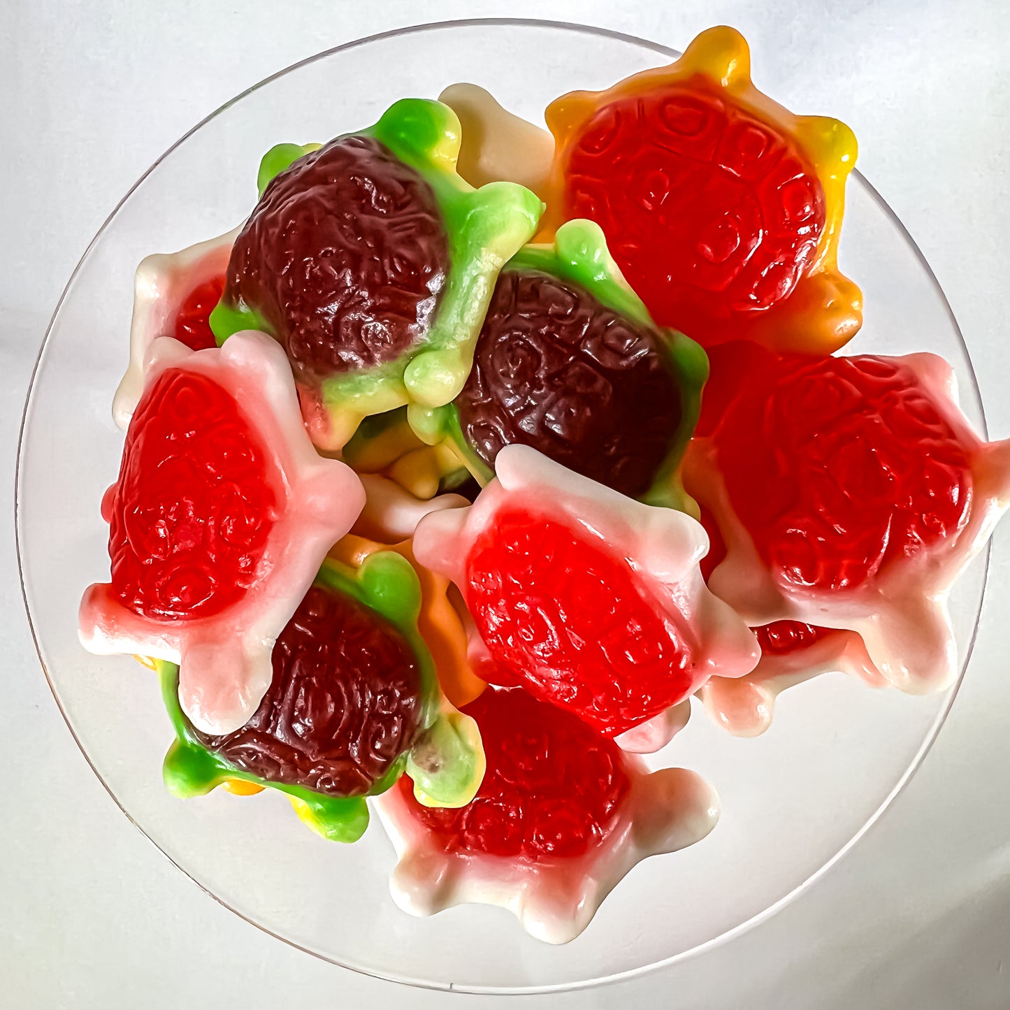 Slow and Steady Wins the Gummi Turtle Race