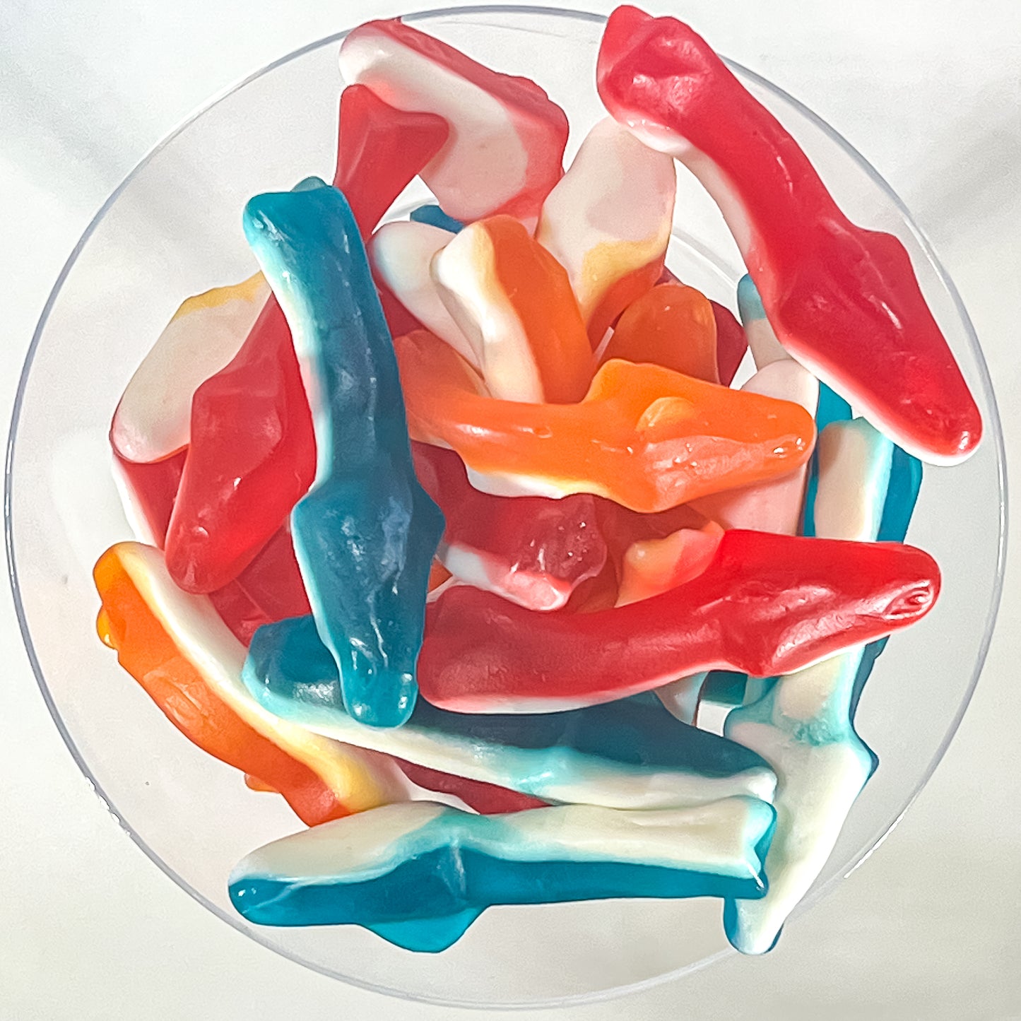 Don't Be Snarky Gummi Sharky